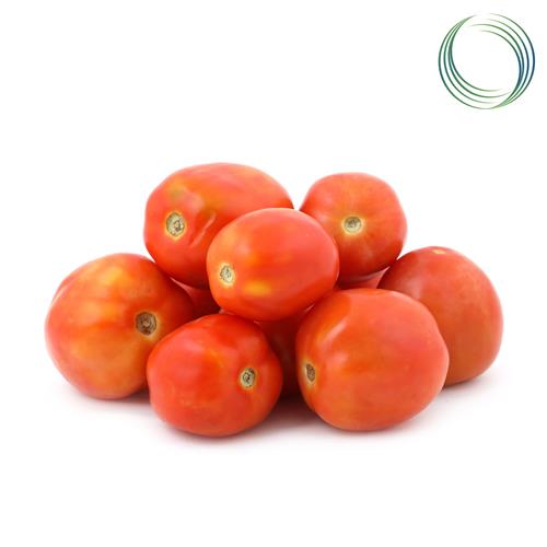 TAMATAR HYBRID 1 kg